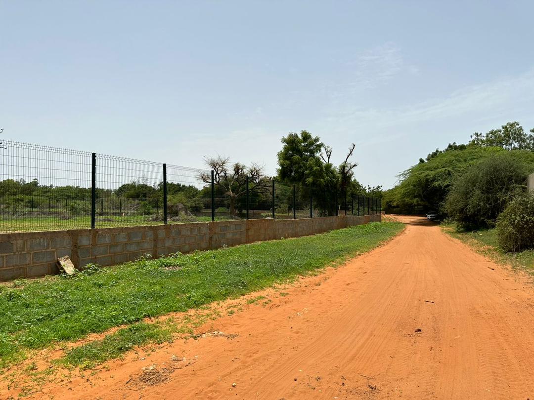 Terrain à vendre À GUERREO EN FACE L’HÔTEL LES MANGUIERS