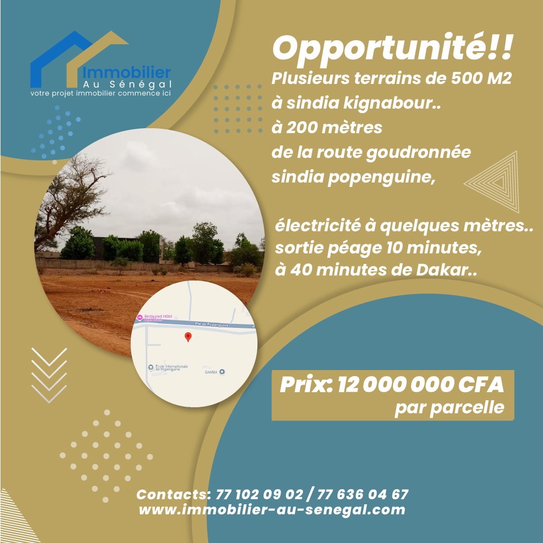 Terrains de 500 mètres carrés à vendre à Sindia Sénégal