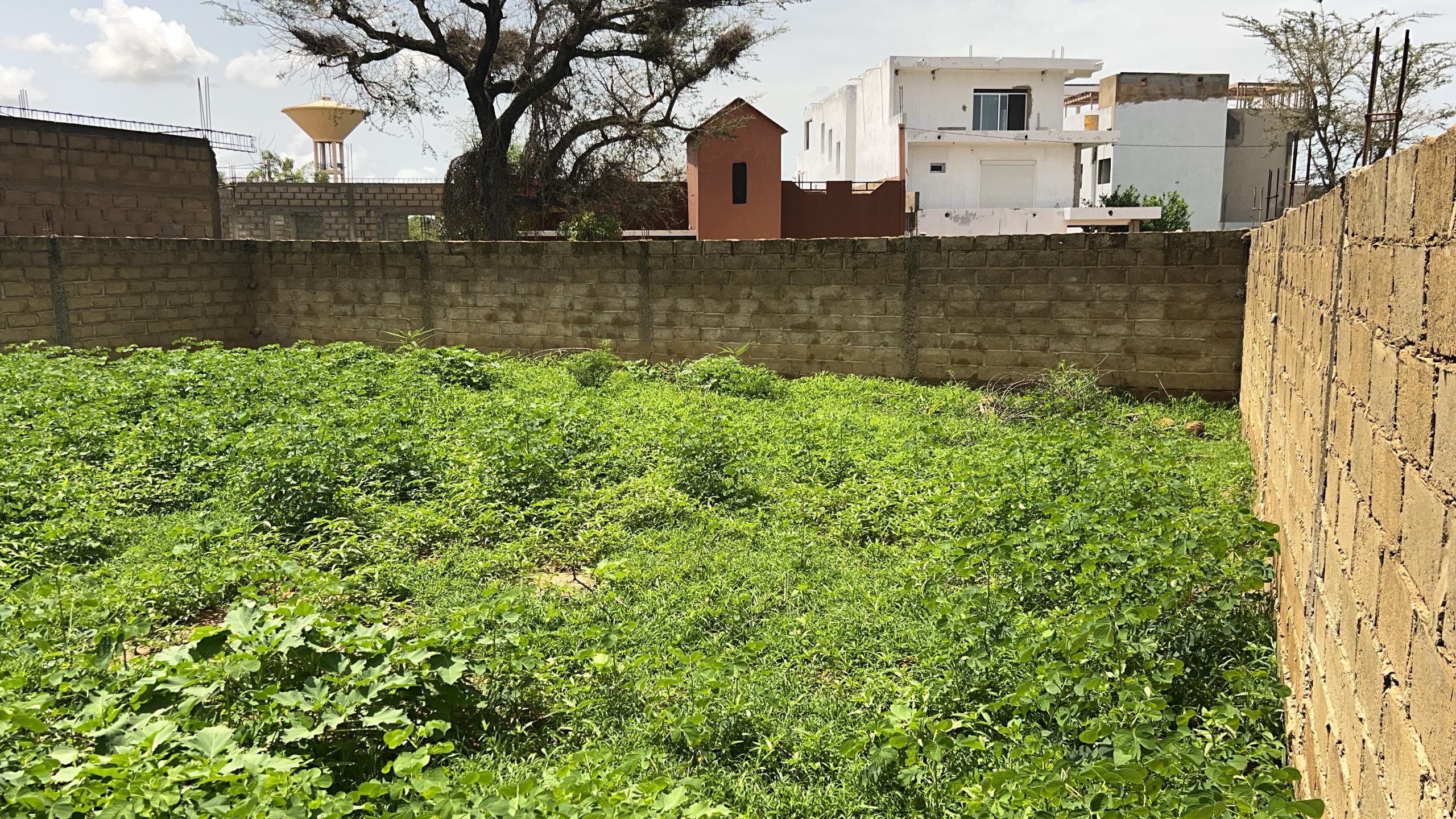 Terrains de 225 m² à vendre à Gandigal