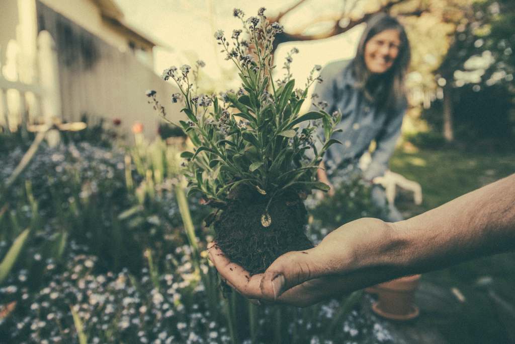 Garden & Waste Services