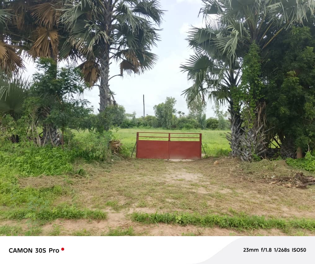 Ferme agricole de 9551m² à vendre à Nguéniène Ndofane