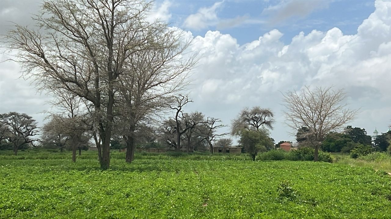 Terrain de 300m² à vendre à Malicounda