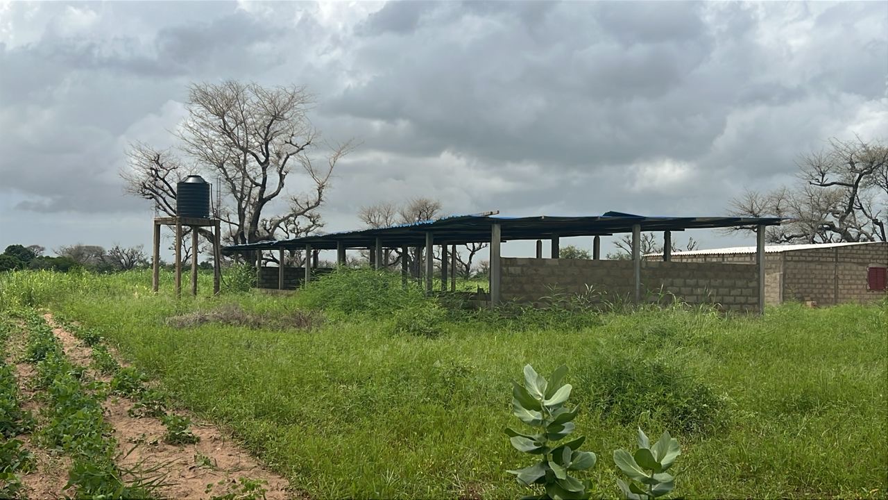 Terrains de 225m² à vendre à Malicounda