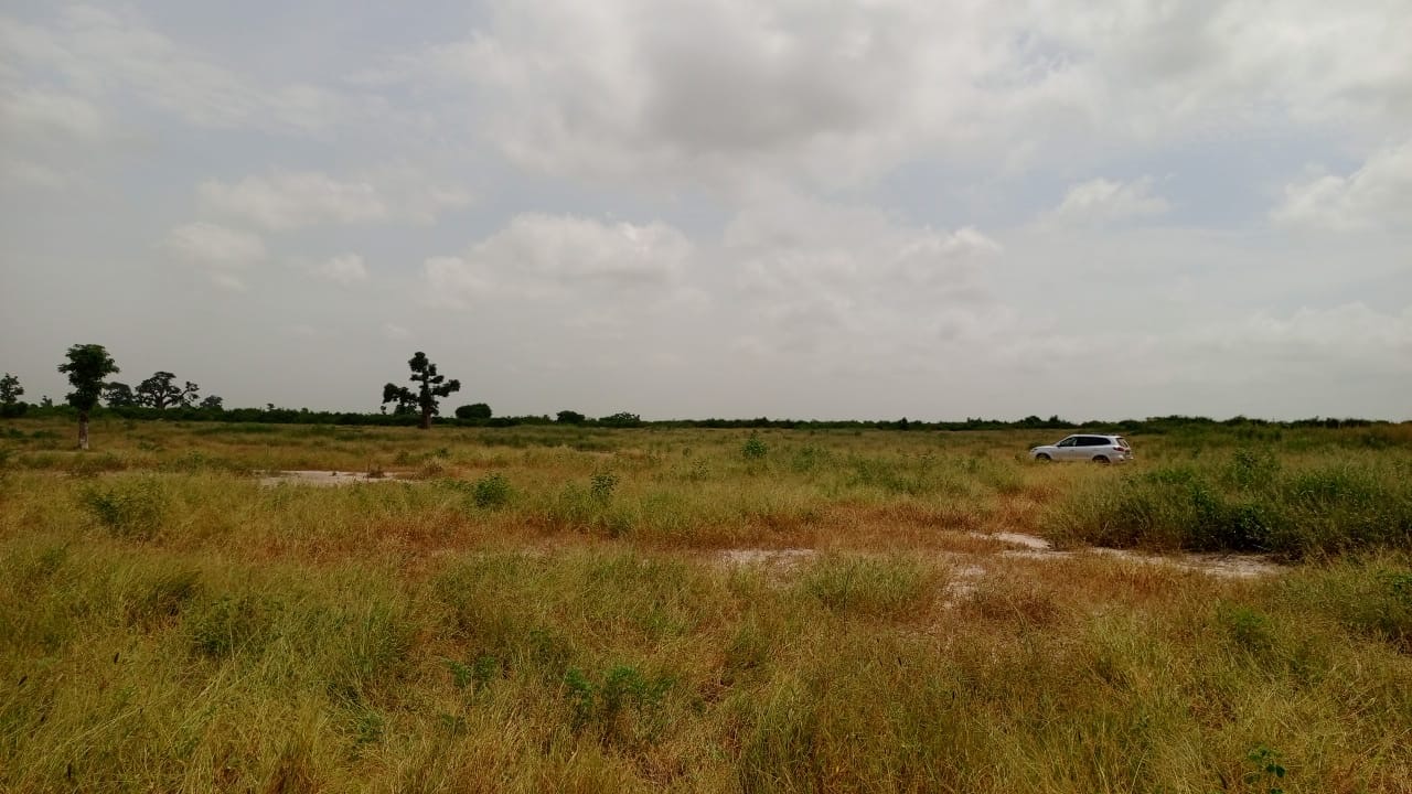 Terrains de 200m² à vendre à Thiès