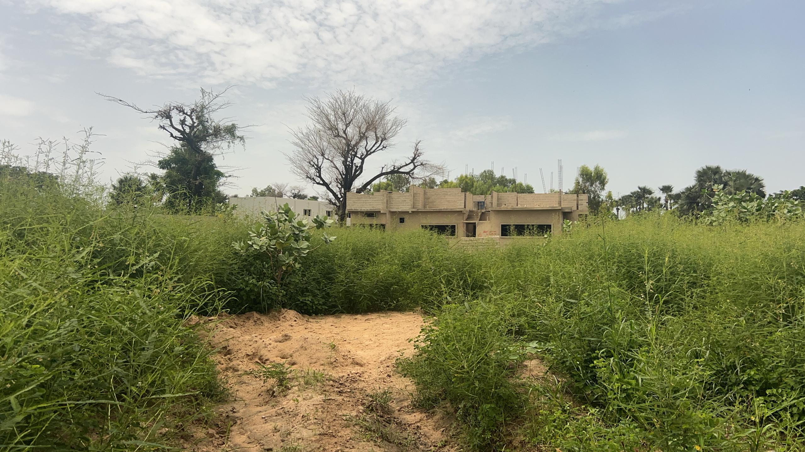Terrains de 300m² à vendre à Saly