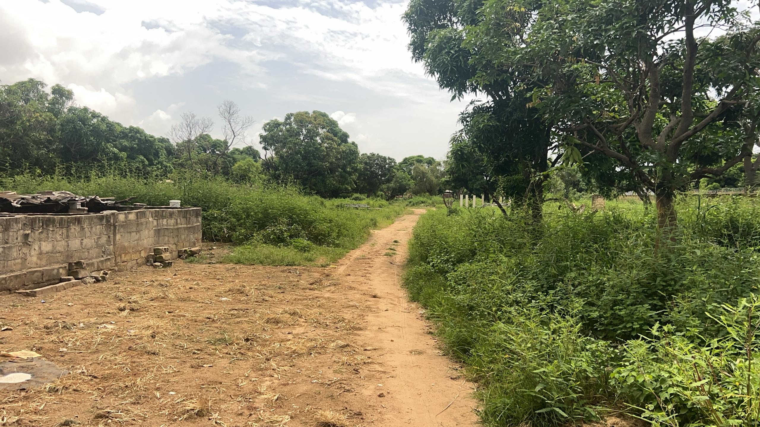 Terrain de 600 m² à vendre à Saly