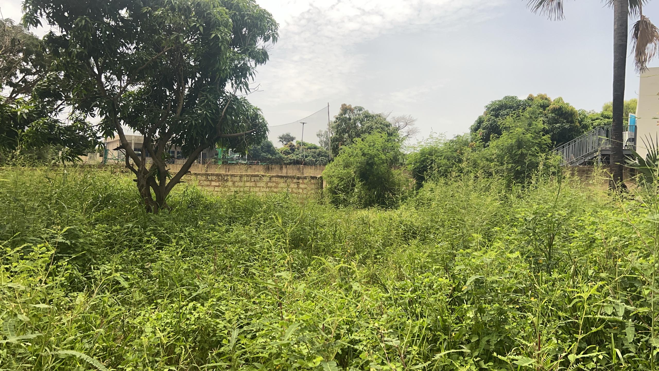 Terrains de 300 m² à vendre à Saly Joseph