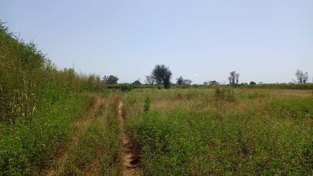 Terrain 1 hectare à  vendre à Mbourokh Sénégal