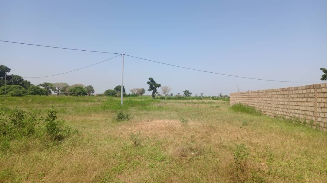 Terrain de 3 hectares et demi à Mbourokh Sénégal