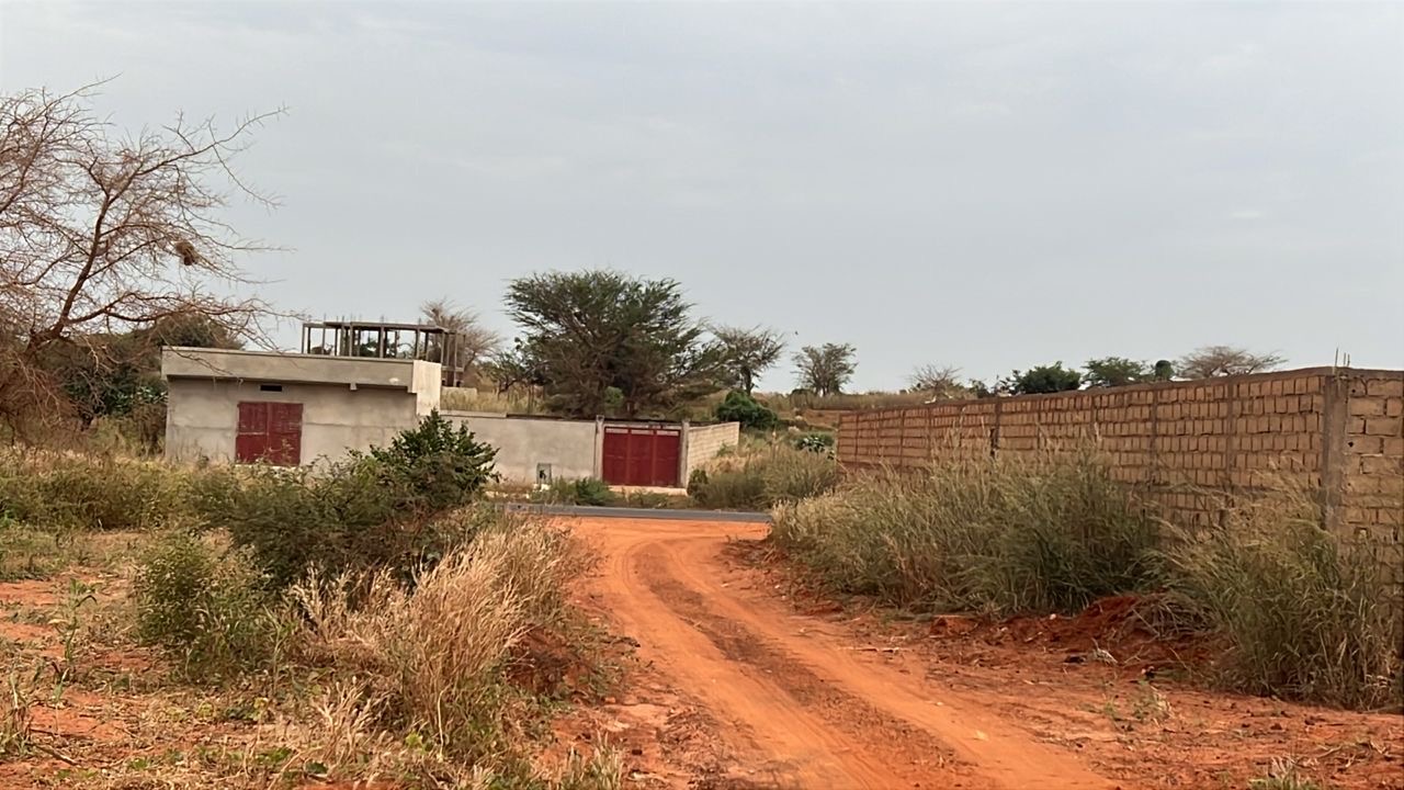 Terrains de 300 mètres carrés à vendre à Guéréo Sénégal