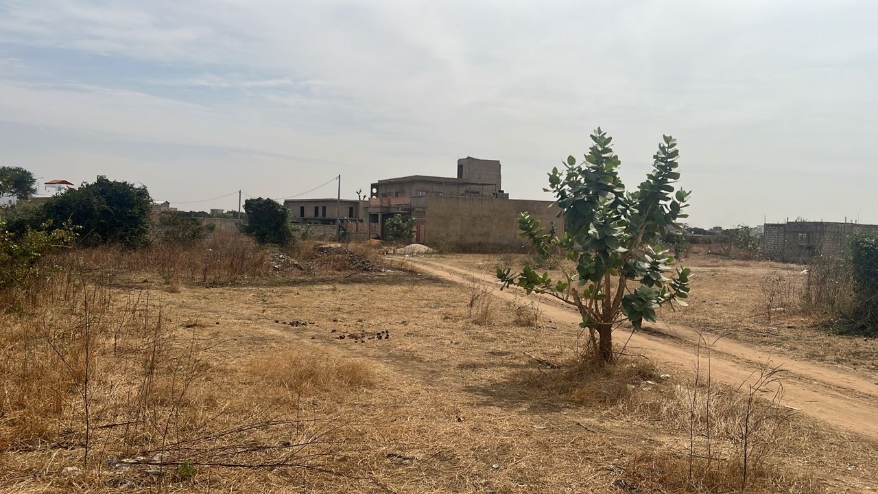 Terrain de 250 m² à vendre à Gandigal Sénégal