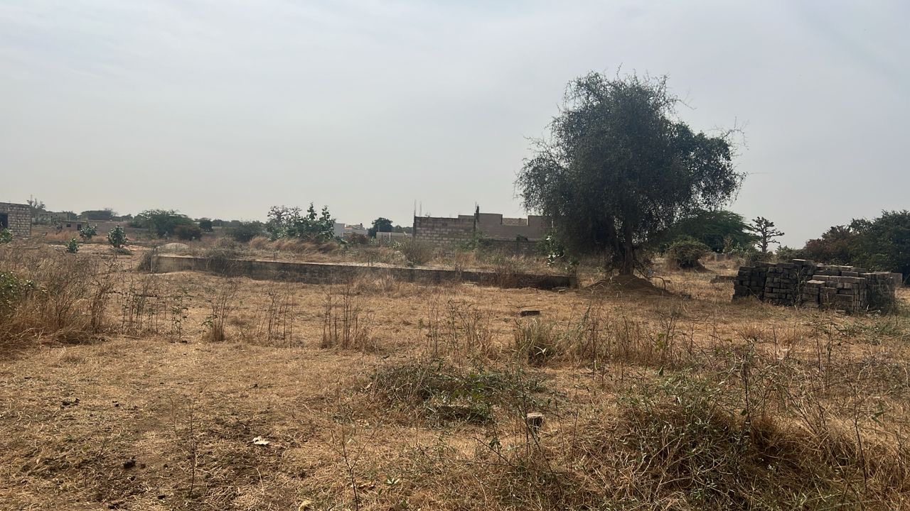Terrain de 500m² à vendre à Gandigal Sénégal