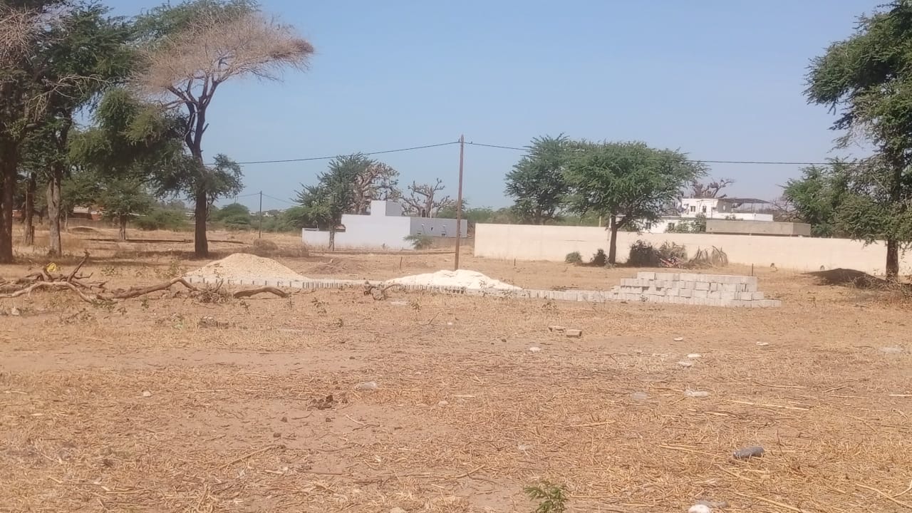 Terrain de 300 m² à vendre à Nianing Sénégal