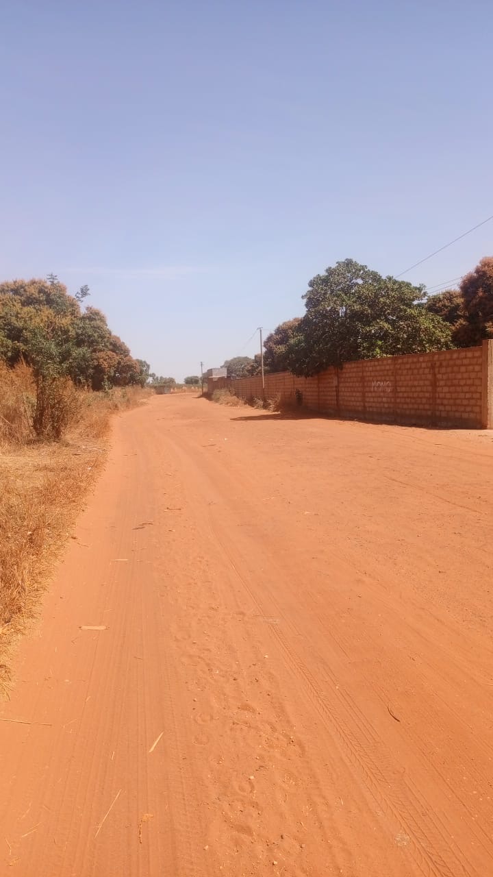 Terrains de 300 mètres carrés à vendre à warang Sénégal