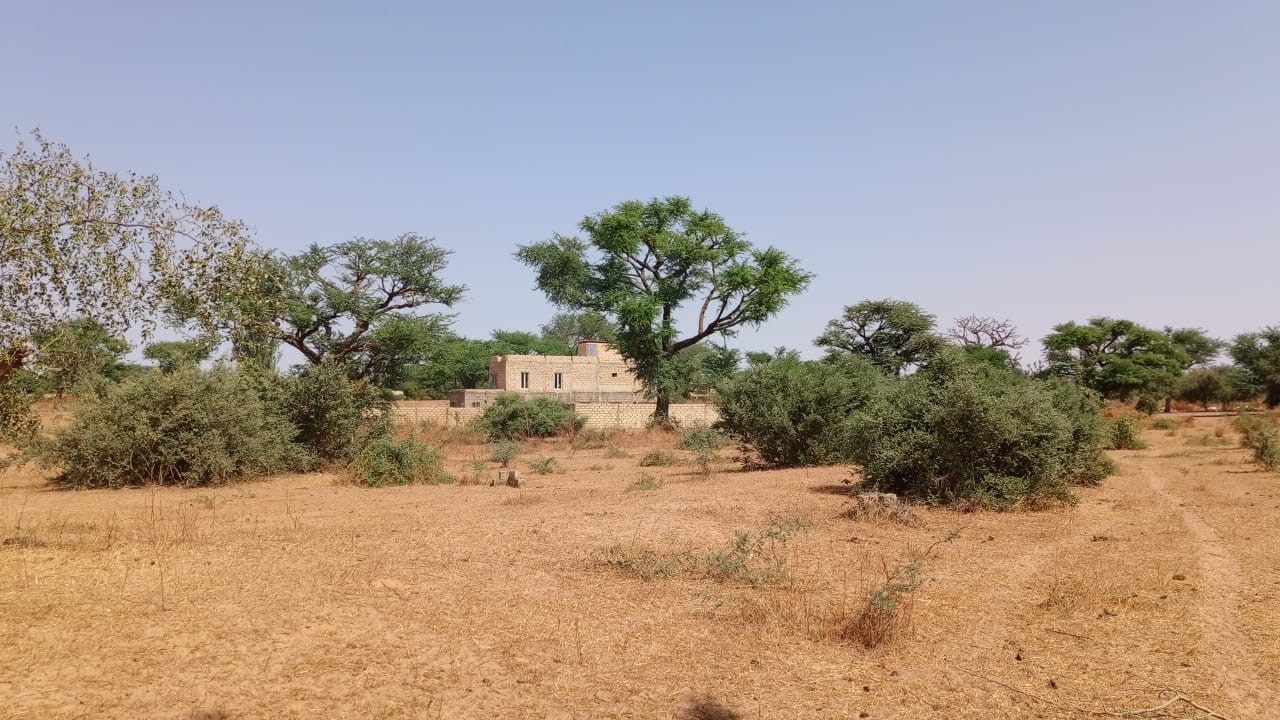 Terrains de 300 mètres carrés à vendre à Malicounda Sénégal
