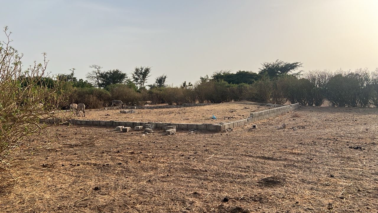 Terrain de 300 mètres carrés à vendre à Sinthiou Sénégal