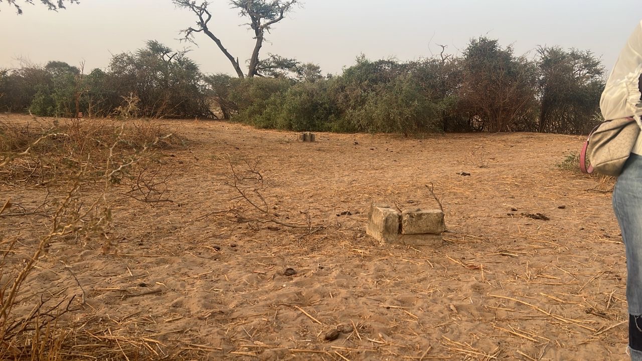 Terrain de 300 mètres carrés à vendre à Malicounda Sénégal