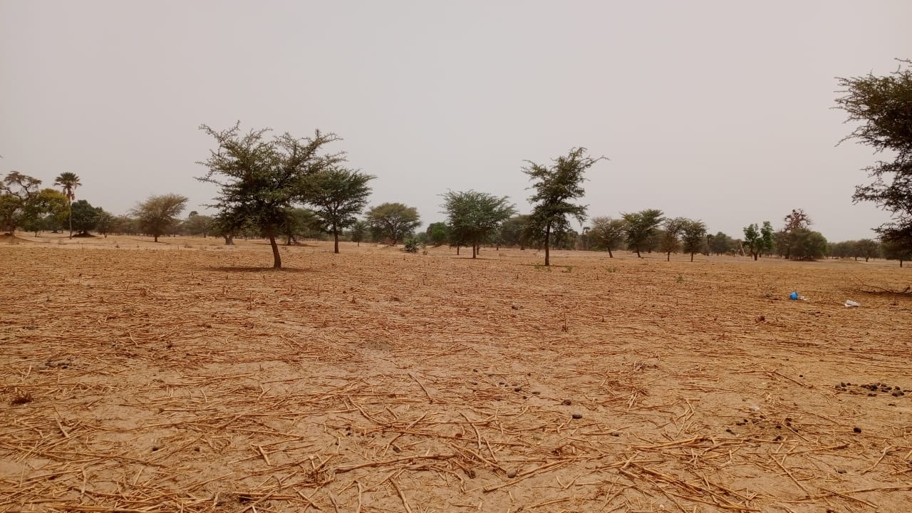 Terrain de 10400 mètres carrés à vendre à Simal Sénégal