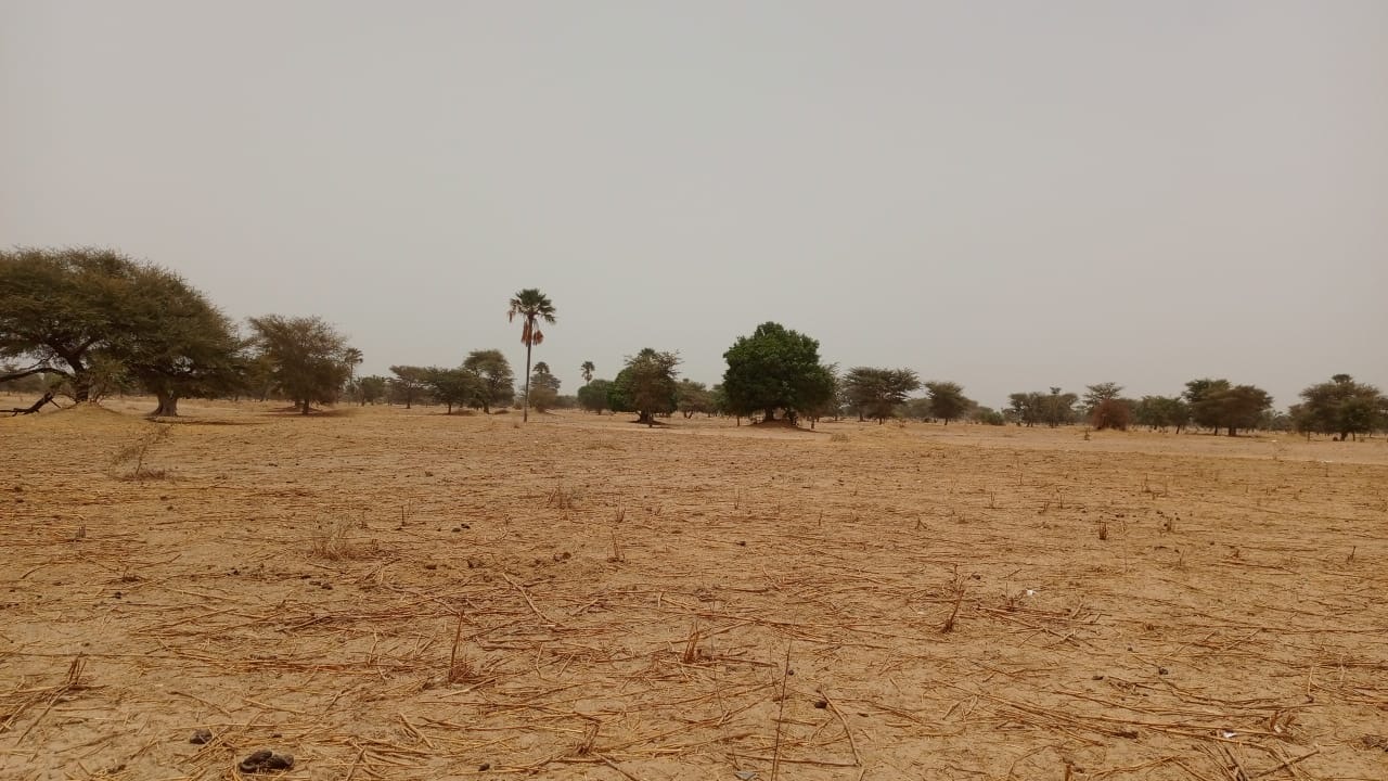 Terrain de 4600 mètres carrés à vendre à Simal Sénégal