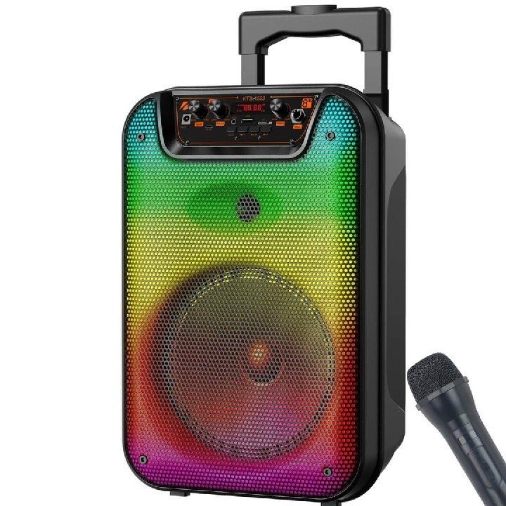 Haut-parleur Bluetooth Portable avec Microphone et Lumières LED