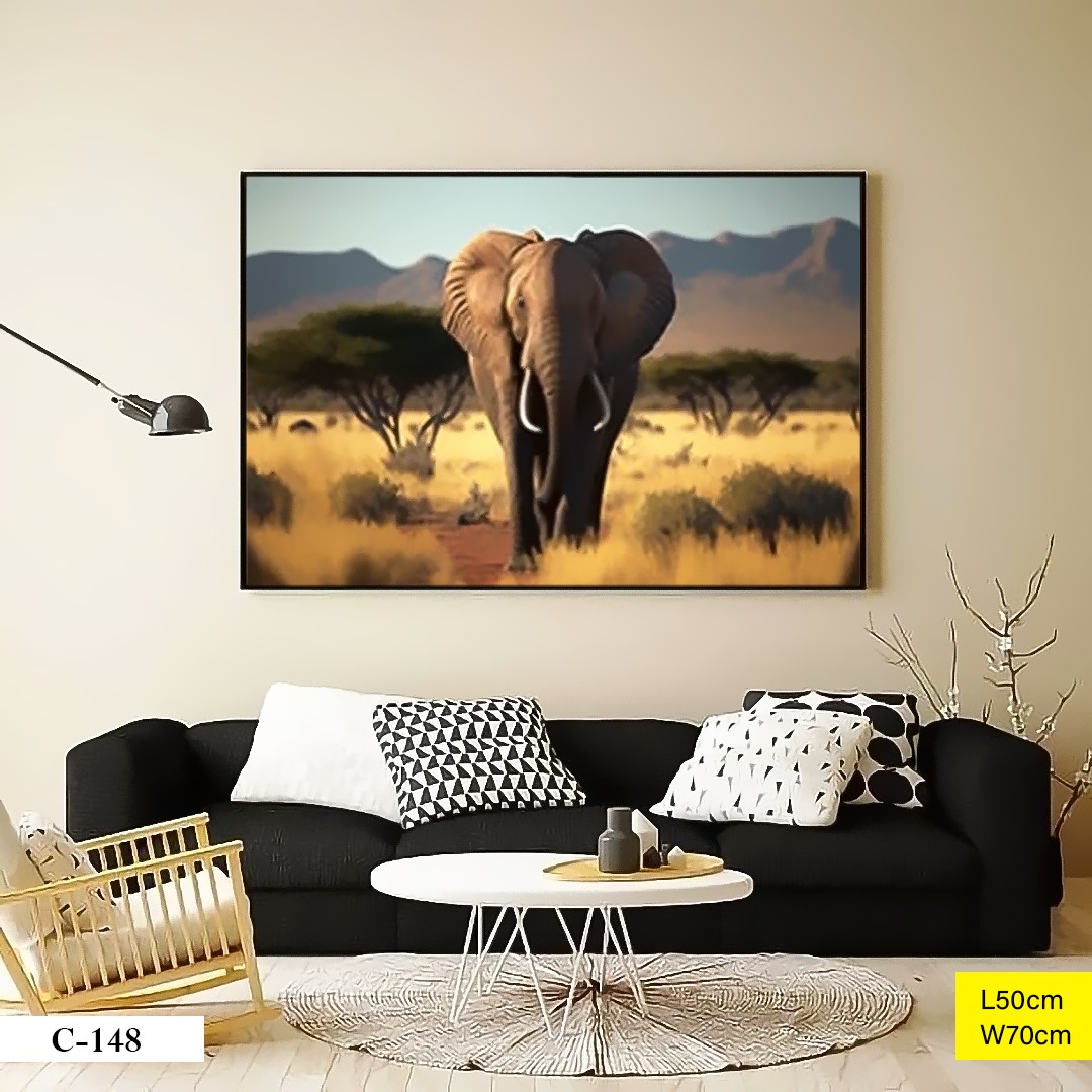Tableau décoratif C-148 Noir Ø50cm