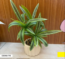 Plante artificielle OSMA-70 Beige clair
