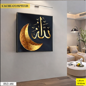 Cache-compteur FY2-481 Noir Ø30cm