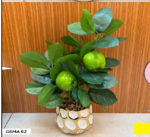Objet déco OSMA-74 Vert (feuillage et fru