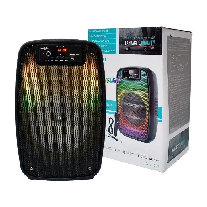 Haut-parleur Bluetooth Portable avec Microphone et Lumières LED – Son Puissant et Ambiance Festive