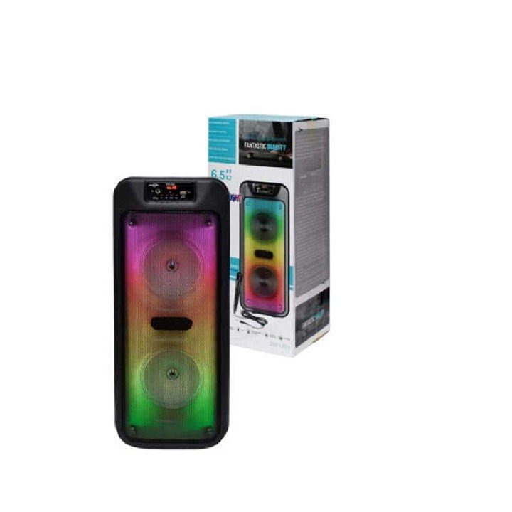 Haut-parleur Bluetooth Portable avec Microphone et Lumières LED – Son Puissant et Ambiance Karaoké