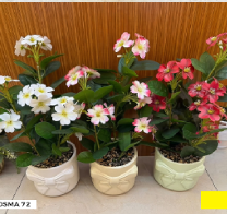 Composition florale OSMA-72 Pots de teintes pastel