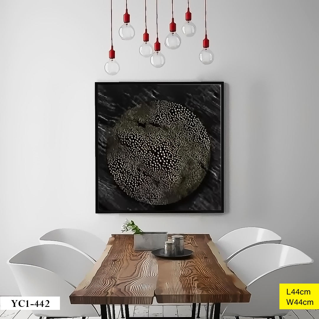 Tableau décoratif YC1-442 Noir Ø44cm