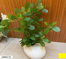 Plante artificielle OSMA-74 Blanc cassé