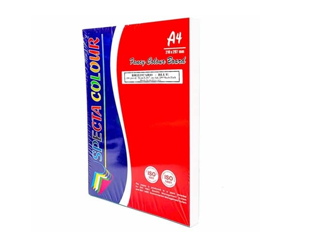 Fiche Bristol A4 Blanche 210x297 mm Boîte 100 Feuilles
