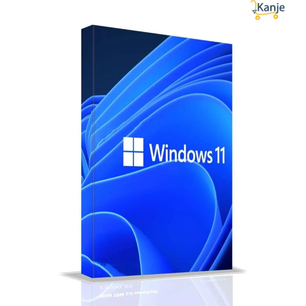 Windows 11