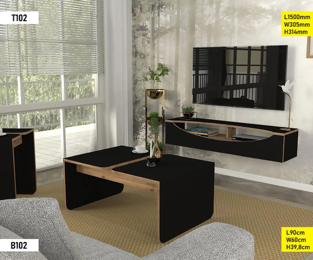 Ensemble Meuble TV T102 + B102