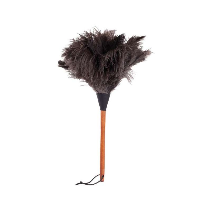 Plumeau en Plumes D’autruche