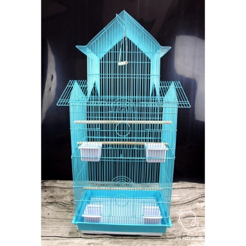 CAGE OISEAUX