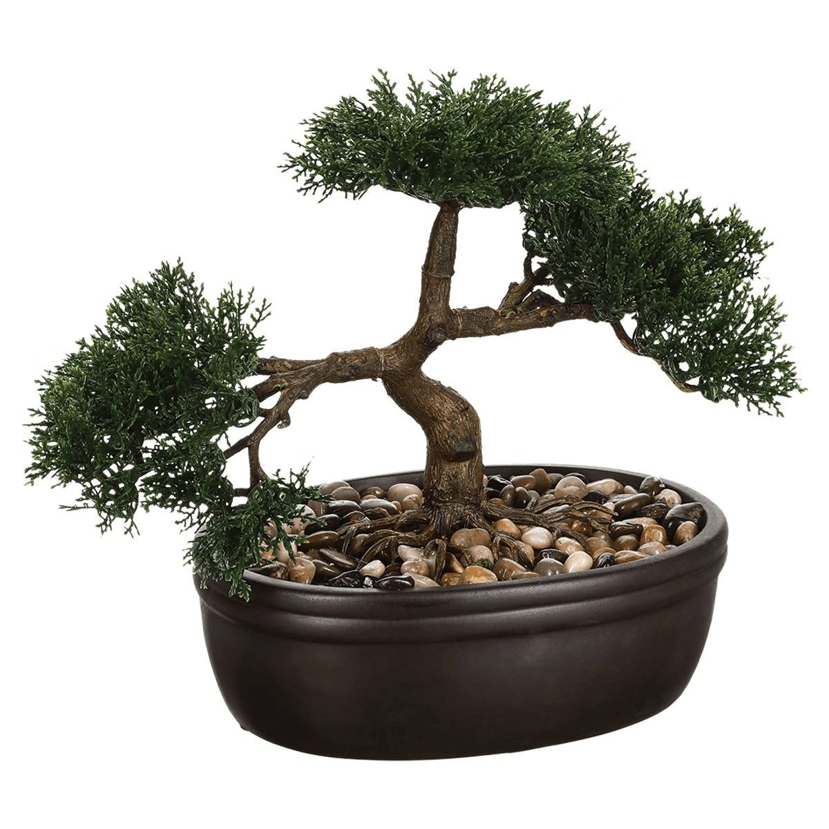 Bonsaï en pot en céramique Baki noir – hauteur 23 cm - Discount Sénégal
